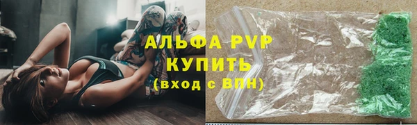 2c-b Инсар
