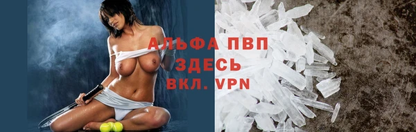 гашик Инта