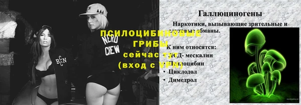 гашик Инта