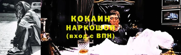 2c-b Инсар