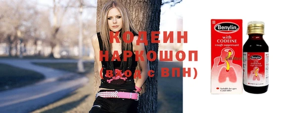 гашик Инта