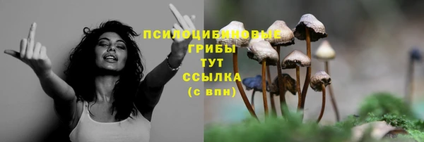 mix Каменка