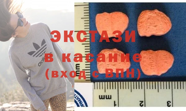 гашик Инта