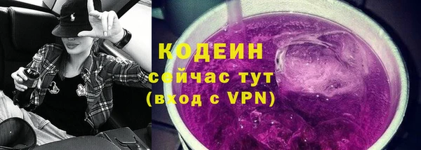 гашик Инта