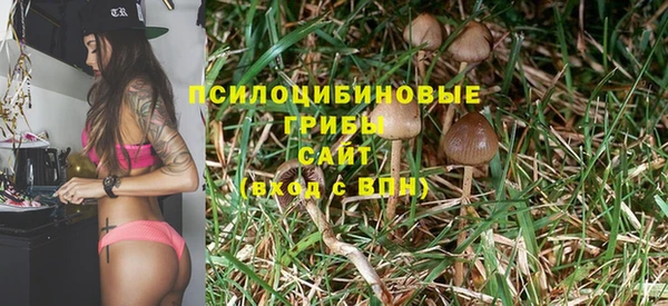 2c-b Инсар