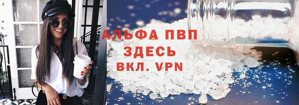 a pvp Иннополис