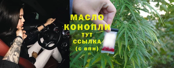 2c-b Инсар