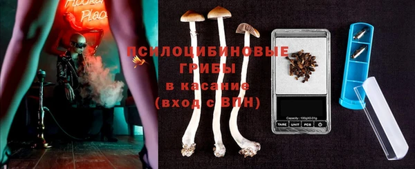 a pvp Иннополис